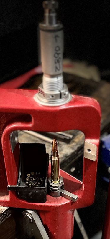 리로딩 사진 (5).jpg